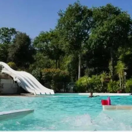 Location Mobil 40m Carre De 2 A 8 Personnes En Bords De Kemping